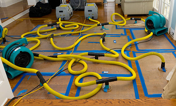Professional Basement Flood Cleanup technician working in Homewood, CA